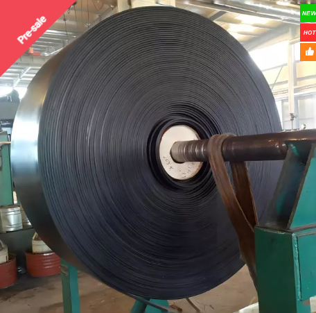 Steel cord conveyor belt