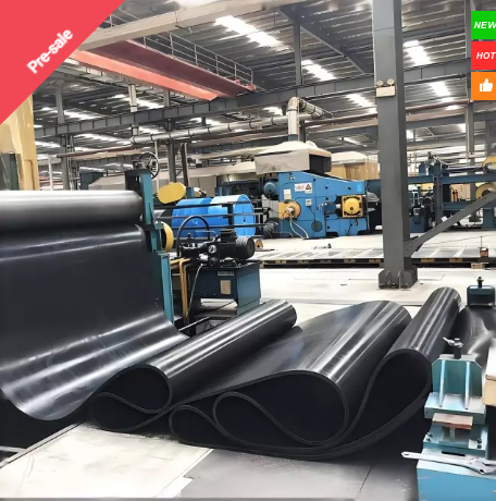 Steel cord conveyor belt