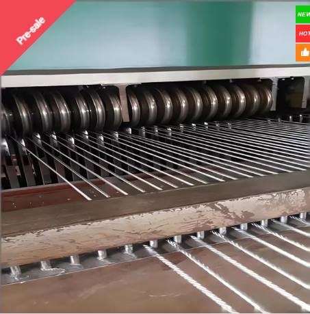 Steel cord conveyor belt